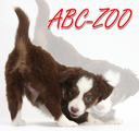abc-zoo.ro/