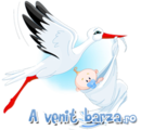 avenitbarza.ro 
