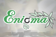 enigma-plant.ro 