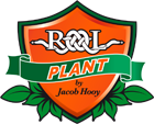 Rolplant.ro