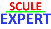sculeexpert.ro 